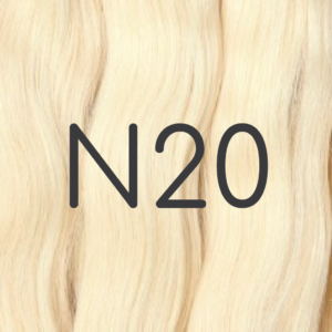 N20