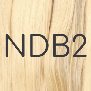 NDB2