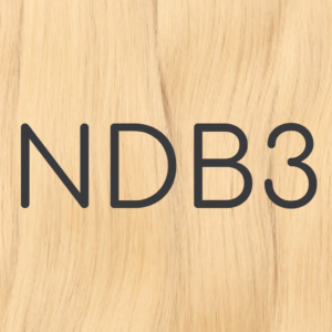NDB3