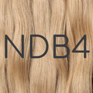NDB4