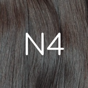 N4
